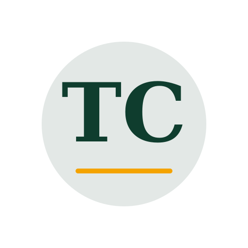 Tanya Chimney Services logo